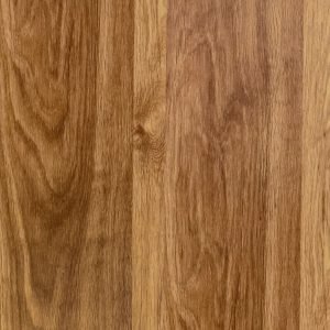 DryBack CW-010