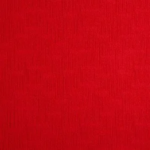 R30119-204
