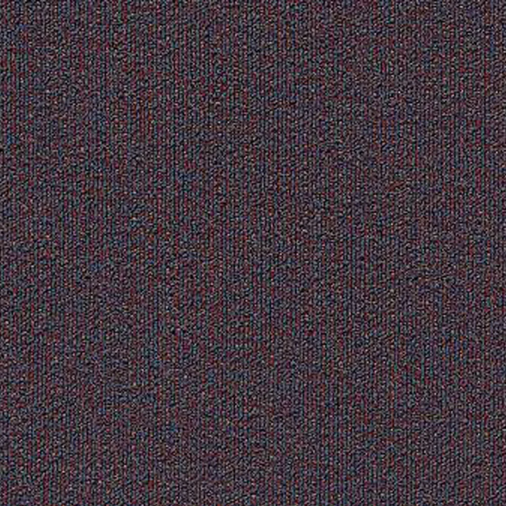 T10122 Violet