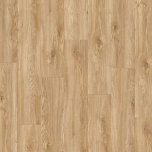 DryBack CW-703